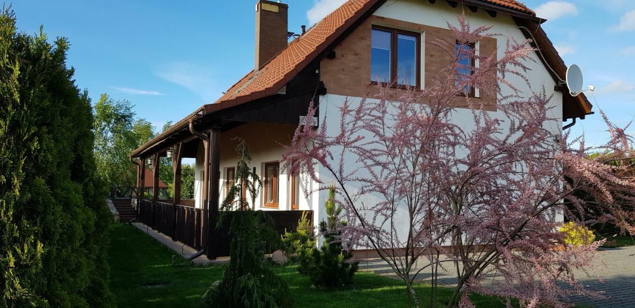 Dom W Skowronkach Villa Sasino Buitenkant foto